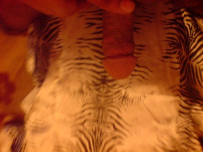 zebra satin cock rub