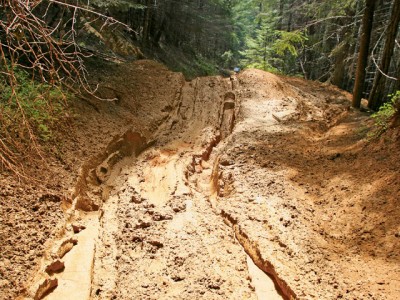 Some were like this would be perfect..