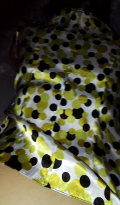 fu***ing my wife from the back while she wearing nice polka dot satin blouse.