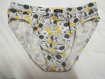 normal underwearwith the lining hides inside