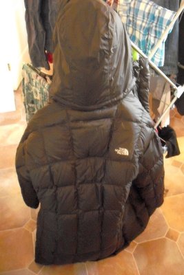 Just hanging there...