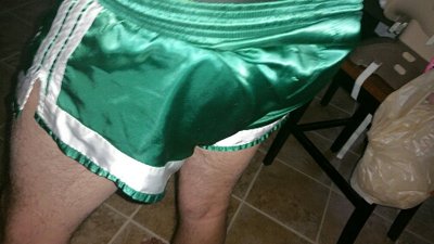 PicsArt_1446905189398 (2).jpg (124.35 KiB) Viewed 30437 times My Kelly Green liquid satin nylon shorts