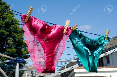 10016910-Saucy-silk-and-lace-panties-on-a-respectable-suburban-washing-line-hinting-at-lesbianism--Stock-Photo.jpg