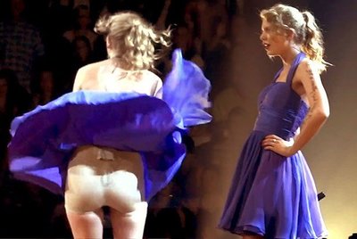 060d16fbc8c96fb78f045272df81e3ff--wardrobe-malfunction-taylor-swift.jpg