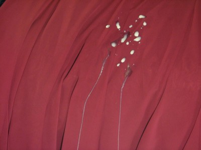 I like to see this !!