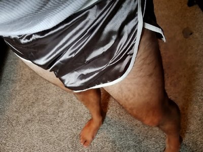 PicsArt_11-02-09.06.17.jpg (59 KiB) Viewed 12653 times Silver satin slit shorts