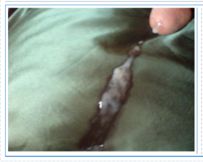 2019-07-13 11.08.56.png