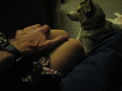 Nylon legs are so sexy !!!