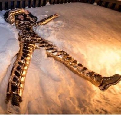 3956c2b41c2bbf7557d3e1b47a8d0a30.jpg (34.72 KiB) Viewed 14113 times Silver plastic nylon snow bunny