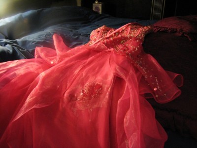 This WHOLE dress is gonna look like this !!!!