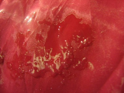 Stain this dress !! (11)a.JPG