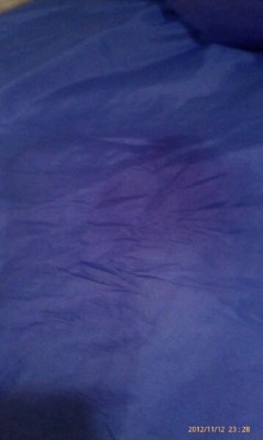 After a good night with Sofia's quinceanera dress