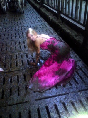 182bb5319451333.jpg (62.67 KiB) Viewed 3540 times 182bb5319451333.jpg