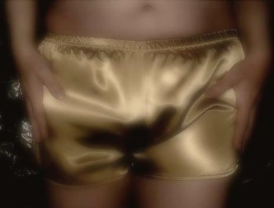 Gold02.jpg (18.53 KiB) Viewed 7439 times THOSE SHORTS ARE DIFFICULT TO TAKE MY HANDS OFF...BELIEVE ME!