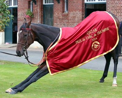 Treve-with-her-trainer-Cr-014.jpg