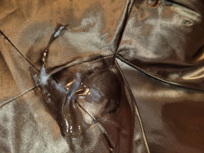 Shanelle's dresss cummed on .png