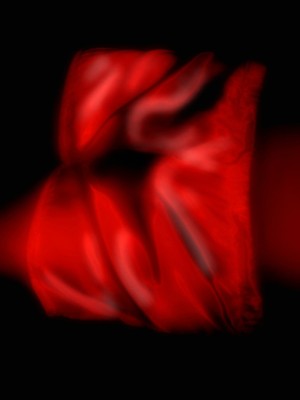 _____IMG_0183b XXXXX WALLc.jpg