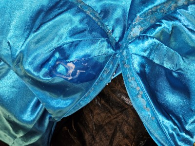 Elizabeth Princess Collection satin (1).jpg