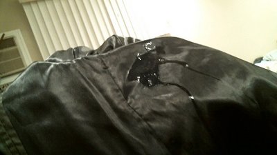 my nieces very expensive sweet 16 mink coat