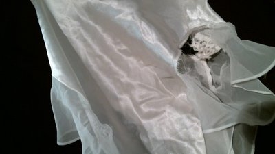 this one is getting wrecked