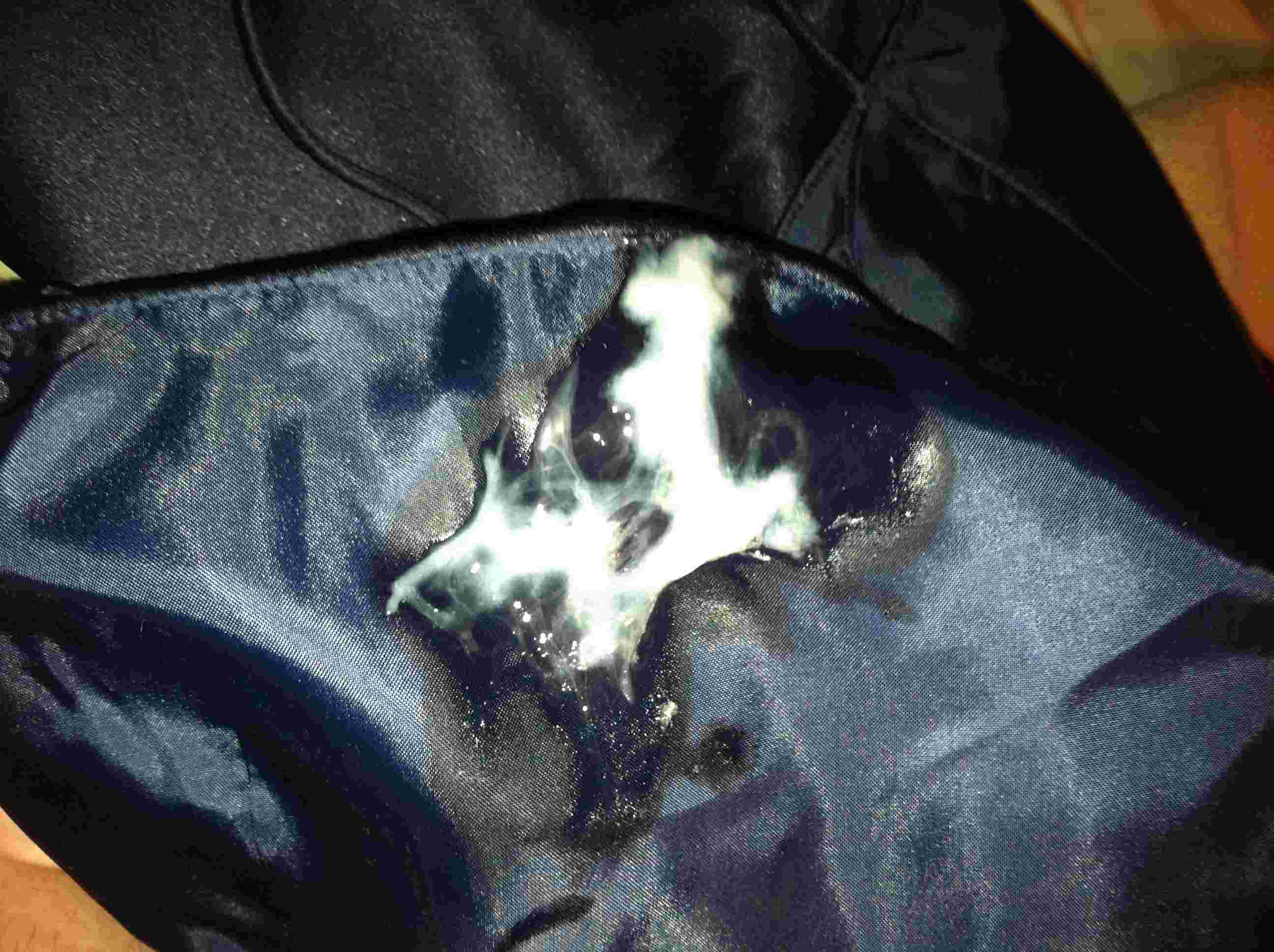 blowing a copious load onto this maddeningly silky lining was a no brainer.