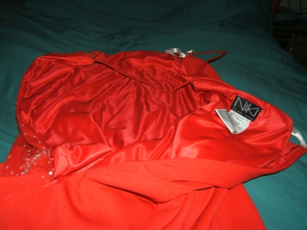 slippery red satin lining of Shawn's dress