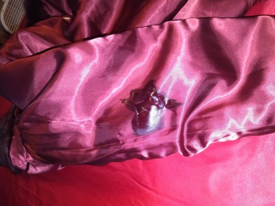 Nicole's fur coat red satin (1).JPG