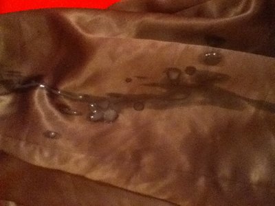 Cum over silver satin dress