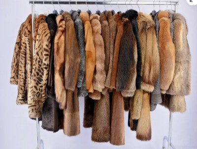 fur.jpg