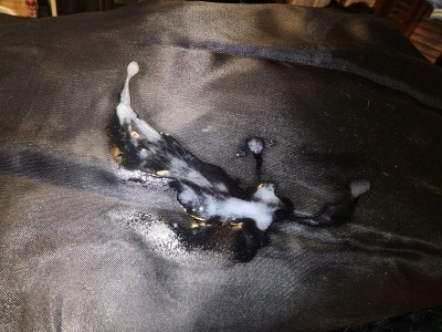 Sam's fur coat 1.jpg