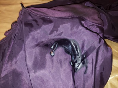 Vanessa's dress  (2).jpg