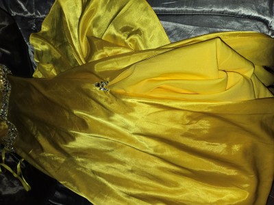 Kiara's satin dress (2).jpg