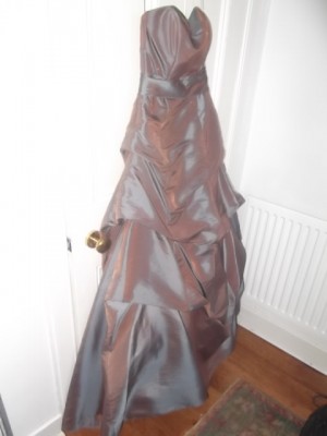 Side Angle of the ballgown