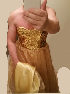 goldgown.jpg (77.13 KiB) Viewed 9483 times Satin Underskirt showing