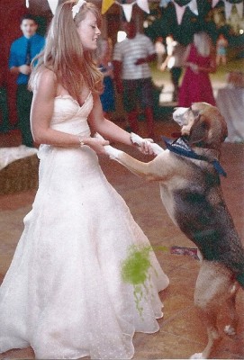 scan0001 (4).jpg AAA.jpg