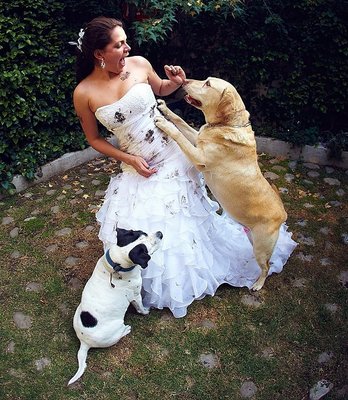 2d9f635cc84f783ce1300d1e211501fa.jpg AAA.jpg A.jpg