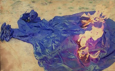 Burn_the_dress_2_by_Riggor_Mortis.jpg
