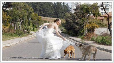 _MG_9862_2136 copy.jpg AAA.jpg