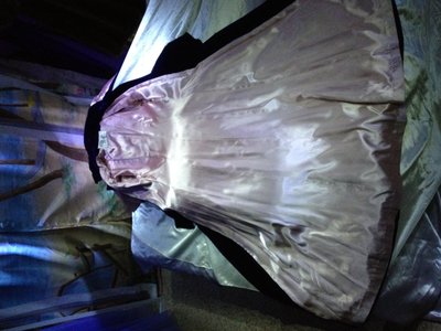 Blue Velvet Ct Mauve Lng.jpg