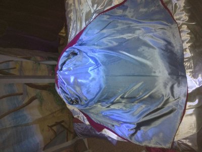 Rd Qltd Rb w Blue Lining.jpg