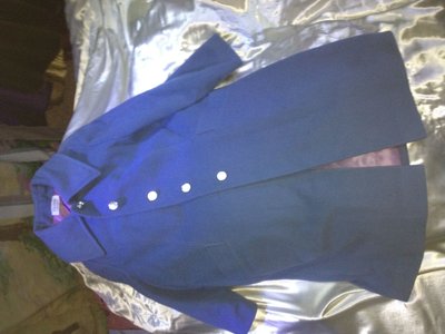 Blue Coat 2.jpg
